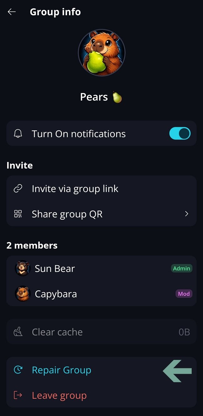 Keet App issues To repair a group, open its options, scroll down, and select 'Repair group'.